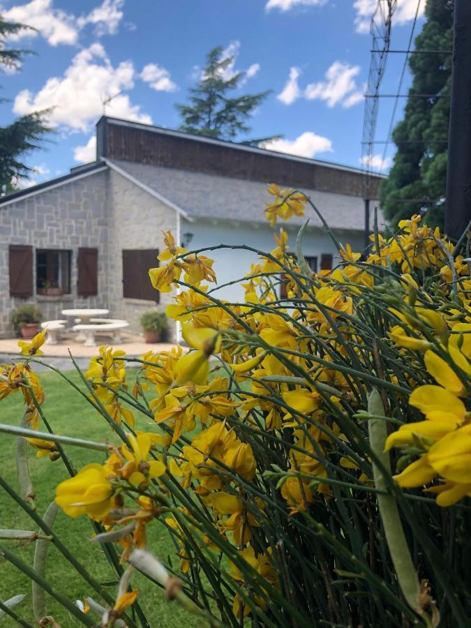 Villa Aurelia - Casa De Campo Con Jardin Y Piscina Entre Madrid Y Segovia Ortigosa del Monte Exterior photo